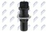 ECP-CT-019_4-WM.JPG