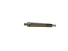 Bosch Nozzle and Holder Assembly 0432191808