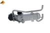 NRF EGR Valve 48214