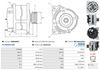 A0884(SEG)_256960.JPG