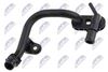 cpp-vw-041_2-wm.JPG