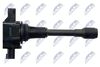 ECZ-NS-022_3-WM.JPG