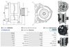 A0860(SEG)_256960.JPG