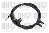 QH_BC4038.JPG