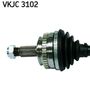 VKJC 3102_2.JPG