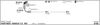 563000322.BMP