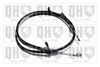 QH_BC4037.JPG