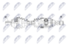 npw-re-249_9-wm.PNG