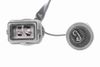 V10-76-0026_03.JPG