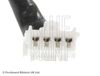 ADC47031_2.JPG