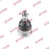 KYB-KBJ4389.JPG