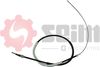554512.JPG