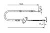 1987477119LIFRWHCO00MM.JPG