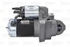 MARINE_STARTER_600091_03.JPG