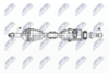NPW-NS-167_9-WM.PNG