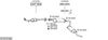 SYS10162.JPG