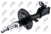 A-FT-018_1-WM.JPG