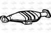 P9673CAT.JPG