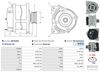 A0674(SEG)_256960.JPG