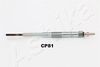CP81_1.JPG