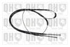 QH_BC2163.JPG