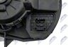 EWN-VW-009_6-WM.JPG