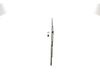 BOSCH Wiper Blade 3 397 004 369