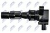 ECZ-MZ-011_3-WM.JPG