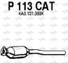 P113CAT.JPG