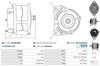 A01081(SEG)_256961.JPG
