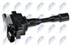 ECZ-DA-003_1-WM.JPG