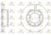 61706-10-MODEL.BMP