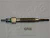 CP06_1.JPG
