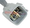 0895604 (2).JPG