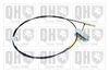 QH_BC3595.JPG