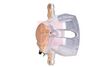 APEC Brake Caliper RCA326N