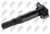 ECZ-PE-008_2-WM.JPG