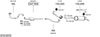 SYS18476.JPG