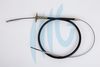01040381.JPG