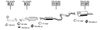 MA112180.BMP
