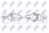 NPW-VV-025_9-WM.PNG