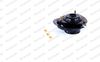 MK259L_2981328.JPG