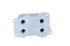 NRF Oil Cooler, engine oil 31338