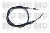 QH_BC4428.JPG