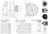 A0227(SEG)_256960.JPG