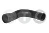 07416_201208.JPG