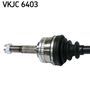 VKJC 6403_2.JPG