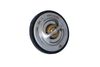 Termostat, chladivo 725216