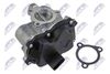 egr-vw-041_2-wm.JPG