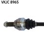 VKJC 8965_2.JPG